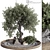 Vintage Olive Tree Patio Decor 3D model small image 1