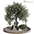 Vintage Olive Tree Patio Decor 3D model small image 2