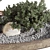 Vintage Olive Tree Patio Decor 3D model small image 3