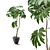 Potted Tetrapanax Papyrifer Shrub 3D model small image 2