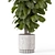 Natural Concrete Pot Indoor Plants 3D model small image 4