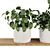 Modern Plant Shelf Display Set 3D model small image 4