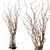 Natural Curly Willow Branches 3D model small image 1