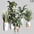 Lush Indoor Plant Set 3D model small image 1