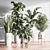 Lush Indoor Plant Set 3D model small image 2