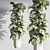 Lush Indoor Plant Set 3D model small image 5