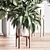 Lush Indoor Plant Set 3D model small image 7