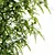 Bamboo Bush 3D Model HQ 3D model small image 3