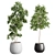 Modern Indoor Plants Set 012 3D model small image 1