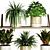 Cozy Shelf Plants Set 3D model small image 2