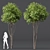  Dual Tree 3D Models Bundle 3D model small image 3