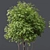  Dual Tree 3D Models Bundle 3D model small image 4