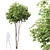  Dual Tree 3D Models Bundle 3D model small image 5