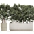 Modern White Plant Collection with Rhapis Palm 3D model small image 4