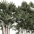 Modern White Plant Collection with Rhapis Palm 3D model small image 5