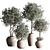 Modern Urban Indoor Plant Set 3D model small image 1