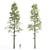 High-Quality Pine Trees Collection 3D model small image 4