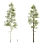 High-Quality Pine Trees Collection 3D model small image 5