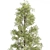 High-Quality Pine Trees Collection 3D model small image 6