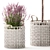 Modern White Basket Plant Collection 3D model small image 4