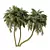 Exotic Palm Tree 3D Model 3D model small image 1