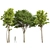 Diverse 3D Tree Models Package 3D model small image 1