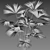 Complete 3D Plant Models Collection 3D model small image 5