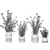 Modern White Pot Plant Collection 3D model small image 7