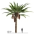 Exotic Palmtree 3D Model Fresh 3D model small image 1