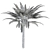 Exotic Palmtree 3D Model Fresh 3D model small image 3