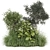 Corona Outdoor Bush Plants Set 3D model small image 1