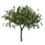 Emirates Ghaf Trees 3D Model 3D model small image 6