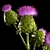 Green Thistle Bouquet in Modern Vase 3D model small image 4