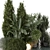  Outdoor Garden Set Bush_Tree 3D model small image 4