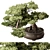 Mini Bonsai Tree 584 3D model small image 2
