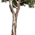 RedGum Tree Set - 216 3D model small image 3
