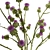 Thistle Thicket Greenery Bouquet 3D model small image 6