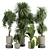 Elegant Indoor Plant Collection 3D model small image 1