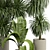 Elegant Indoor Plant Collection 3D model small image 2