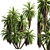 Premium Mountain Cabbage Tree Model 3D model small image 1