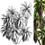 Premium Mountain Cabbage Tree Model 3D model small image 2