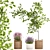 Modern Potted Plant Collection 3D model small image 1