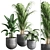 Greenery Bliss Indoor Plants 3D model small image 1