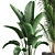 Greenery Bliss Indoor Plants 3D model small image 3