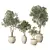 Lush Olive Tree Indoor Decor 3D model small image 1