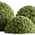 Handcrafted Topiary Ball Bush 3D model small image 2