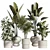 Botanical Theme Plant Set - 3D Simulation 3D model small image 8