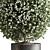 Topiary Ball Indoor Plant Symbol 3D model small image 2