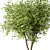 Russian Cherry Tree No.41 Statue 3D model small image 2