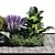 21-Piece Outdoor Plant Set 3D model small image 6